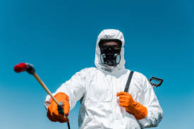 Best Termite Inspection and Treatment  in Greenup, KY